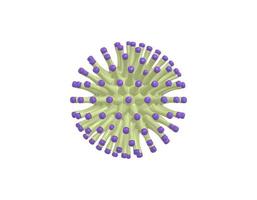 3d rendering minimalista cartone animato verde viola virus al microscopio, batterio dell'infezione da coronavirus 2019-ncov su sfondo bianco. foto