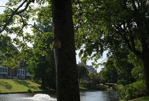 piccola casetta per uccelli in legno in un albero nel parco vicino al fiume, soleggiata giornata estiva foto