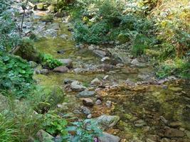 la foresta nera in germania foto