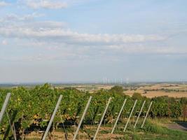 doerrenbach nella germania pfalz foto