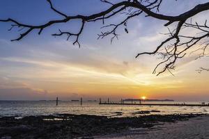 silhouette del ramo di un albero morto e turisti che si rilassano e scattano foto tramonto sulla spiaggia del tramonto tropicale a koh larn beach. paesaggio di tramonto colorato che brilla sulle acque arancioni luminose dell'oceano.