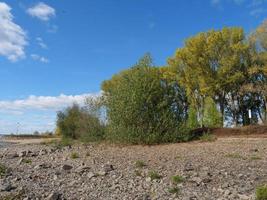 il fiume Reno vicino a Wesel foto