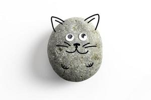 pet rock con occhi finti foto