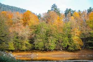 lago nazli nel parco nazionale yedigoller, turchia foto