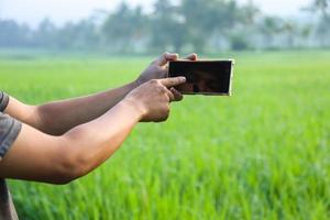 primo piano del dito diretto della mano per toccare lo schermo vuoto dello smartphone nel mezzo del campo di riso. moderne tecnologie per l'agricoltura. foto