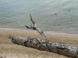 al mar baltico in polonia foto