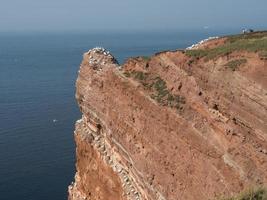 isola di Helgoland nel mare del nord foto