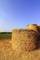 balle di paglia su terreni agricoli con cielo nuvoloso blu foto