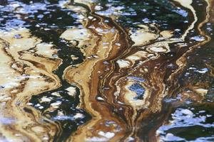 la fuoriuscita di petrolio nel Golfo è mostrata su una spiaggia foto