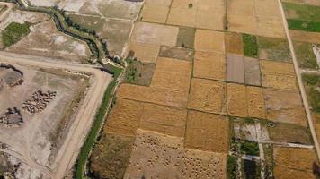 veduta aerea di kala shah kaku villaggio del punjab pakistan foto