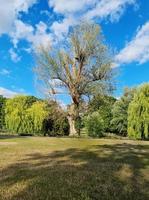 bellissimo parco pubblico locale a luton città dell'inghilterra uk foto