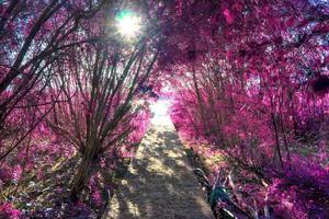 bellissimo paesaggio a infrarossi rosa in un lago con una superficie d'acqua riflettente. foto