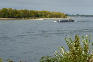 il fiume Reno vicino a Wesel foto