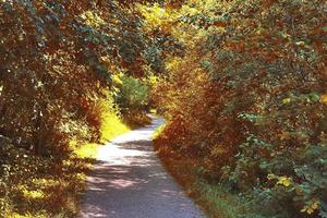 bella vista panoramica su un paesaggio autunnale dorato trovato in europa foto