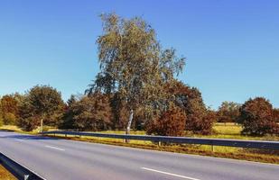 bella vista panoramica su un paesaggio autunnale dorato trovato in europa foto