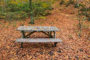 foresta nel parco nazionale di Yedigoller, in Turchia foto