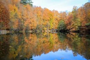 lago buyuk nel parco nazionale yedigoller, turchia foto