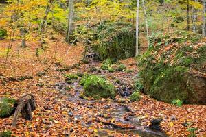 vapore nel parco nazionale di Yedigoller, in Turchia foto