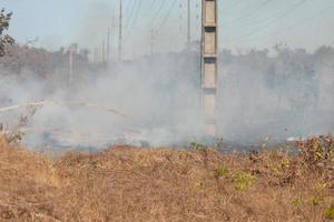 un incendio vicino alla riserva indiana di karriri-xoco e tuxa nella sezione nord-ovest di brasilia, brasile foto