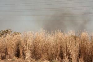 un incendio vicino alla riserva indiana di karriri-xoco e tuxa nella sezione nord-ovest di brasilia, brasile foto