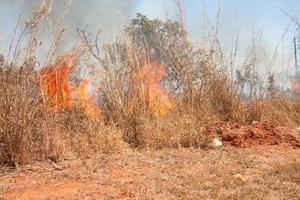 un incendio vicino alla riserva indiana di karriri-xoco e tuxa nella sezione nord-ovest di brasilia, brasile foto