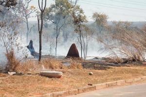 un incendio vicino alla riserva indiana di karriri-xoco e tuxa nella sezione nord-ovest di brasilia, brasile foto