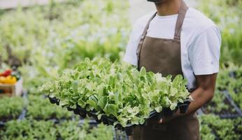 contadina che lavora presto nella fattoria che tiene cesto di legno di verdure fresche e tablet foto