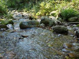 la foresta nera in germania foto