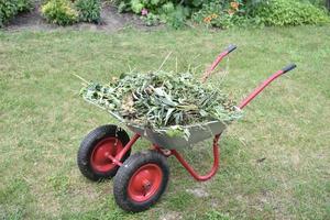carrello da giardino in ferro con erba in giardino foto