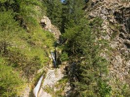 la foresta nera in germania foto