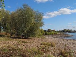 il fiume Reno vicino a Wesel foto