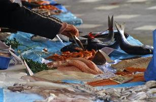 pesce fresco al mercato del pesce a Nizza, in Francia foto