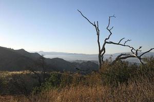 paesaggio del parco ed davis a towsley canyon - california, stati uniti foto