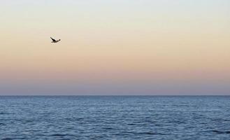 bel cielo sull'oceano durante il tramonto o l'alba foto