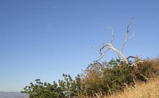 paesaggio del parco ed davis a towsley canyon - california, stati uniti foto