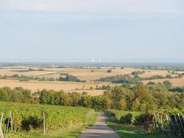 doerrenbach nella germania pfalz foto