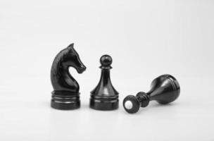 cavallo nero, pedina e regina degli scacchi.