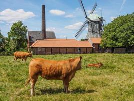 vecchio mulino a vento nel muensterland tedesco foto