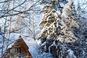 abete innevato e cottage in legno foto