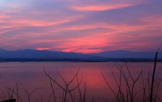 albero della siluetta del tramonto sul lago