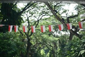 bandiere di singapore per la celebrazione della giornata nazionale foto
