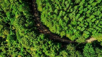 una veduta aerea della foresta foto