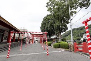 santuario yutoku inari foto