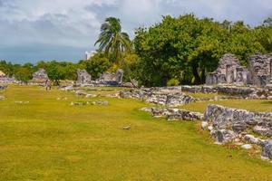 Iguana lucertola nelle antiche rovine di maya nella zona archeologica di el rey vicino a cancun, yukatan, messico foto