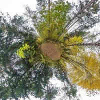 trasformazione del piccolo pianeta del panorama sferico a 360 gradi. vista aerea astratta sferica nella foresta di autunno. curvatura dello spazio. foto