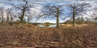 panorama hdri sferico completo senza soluzione di continuità vista angolare a 360 gradi su sentiero pedonale tra boschetto di querce con rami goffi vicino al lago in proiezione equirettangolare con contenuto vr ar pronto foto