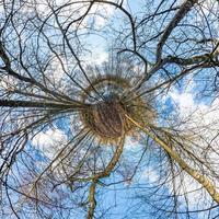 trasformazione del piccolo pianeta del panorama sferico a 360 gradi. vista aerea astratta sferica nella foresta di primavera. curvatura dello spazio. foto