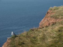 l'isola di Helgoland foto