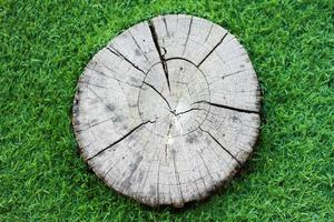 trame di ceppo di albero vecchio e secco, superficie della sezione trasversale dell'albero con graffi e crepe e fori. foto