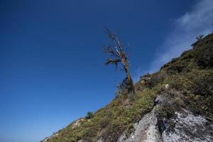 vista dalla foresta tropicale con percorso al vulcano kawah ijen, java orientale, indoneisa foto